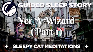 Welcome to Diagon Alley - 'Yer A Wizard' (Part 1/4) - Harry Potter Inspired Sleep Story Meditation