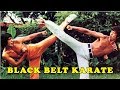 Wu Tang Collection Black Belt Karate