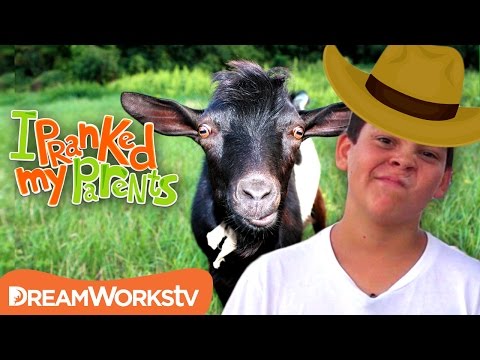 kowboy-kookin-|-i-pranked-my-parents