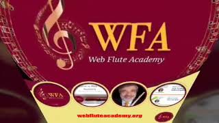 A glimpse of the international webinar "Working on the sound"