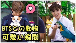 【BTS 日本語字幕】防弾少年団との動物可愛い瞬間