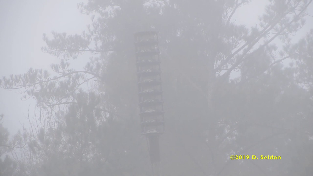 Georgia SWA Tornado Drill: Whelen WPS 2810 /W Undershot - Columbus, GA 2/6/19