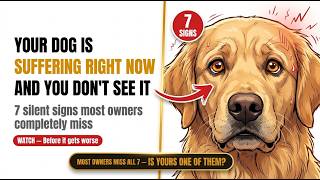 Is Your Dog Suffering When You Leave? 7 Silent Signs You Need to Know Right Now