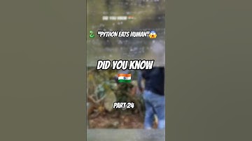 “8-Meter Python Swallows 61-Year-Old Farmer Whole | 😱#shorts #news #trending #viral #2025