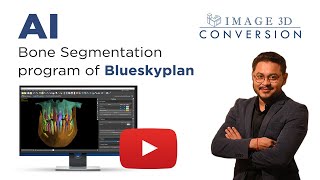 AI Bone Segmentation program of Blueskyplan NEW