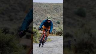 The Surly Straggler Gets Updated