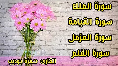 سورة الملك ✓ سورة القيامة✓ سورة المزمل ✓ سورة القلم ✓ بصوت القارئ حمزة بوديب