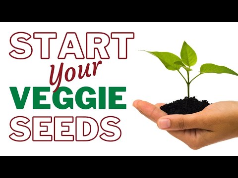 Basic Gardening for Beginners