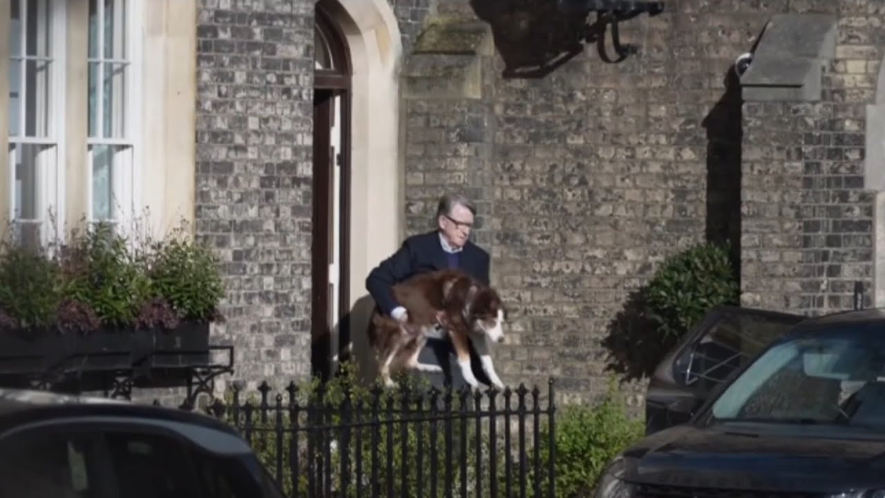 Peter Mandelson asked to testify before US Congress over Epstein links