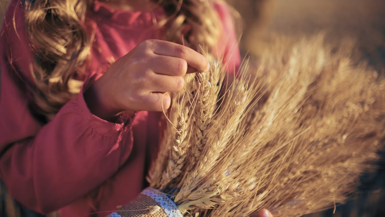 У ДЕНЬ ПОДЯКИ І Ангеліна & Назар Чебан І Пісня на свято жнив І ПРЕМ'ЄРА 2024