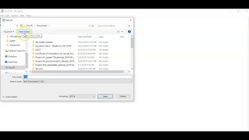 How to Create an Input File Using NotePad