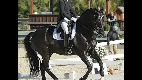 Total Wellness Combination Supplement for Horses