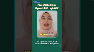 Waktu Inilah Nyamuk DBD Lagi Aktif