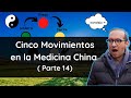 Cinco Movimientos y sus características en la dinámica de la Medicina Tradicional China ( 14 parte)