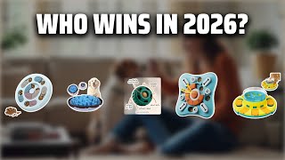 The Top 5 Best Dog Games in 2026 - Must Watch Before Buying!