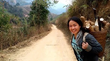 Niam ntxawm wb lo khawb qos lo pub qaib o