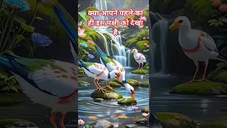 Duniya ke sabse sundar pakshi jo aapne pehle kabhi nahi dekhe honge! 🐦🌟 #birds #pakshi #world #bird