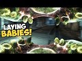 NESTING MY OWN EGGS IN THE VENTS! - Natural Selection 2