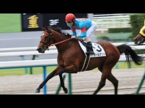 2歳新馬　 芝2000m (右 A) 　オールナット　牡2　56.0　北村友一　2023.10.9　　出走馬：プレリュードシチー、ジャスティンアース 、メイショウタバル、ウォーターリヒト他