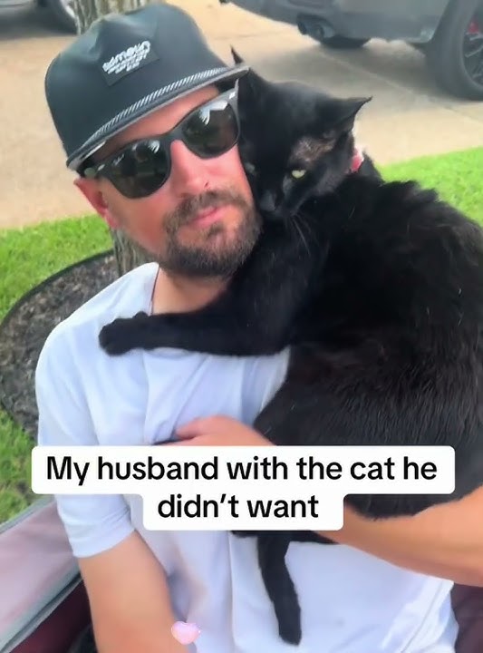 Your cat is in love with your boyfriend 🥰🥰❤️❤️🐈🐈#foryou  #usaus #cute #love #kitten #catlove