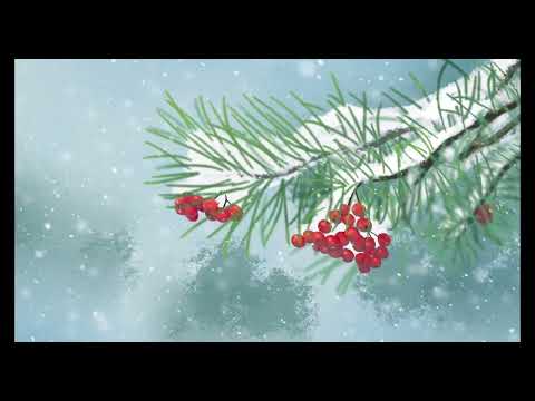 青花瓷G調伴奏（無轉調）