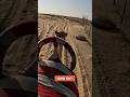 Camel Mouth Guards in Dubai – Not for What You Think