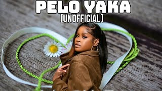 Pelo Yaka un Shandesh X Dlala Extrinsic New Hit