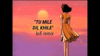 Tu Mile Dil Khile -lofi (Gourav flip) | Indianlofi | lofi aesthetic vibe