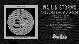 Wailin Storms - The Silver Snake Unfolds (Full album, official audio)