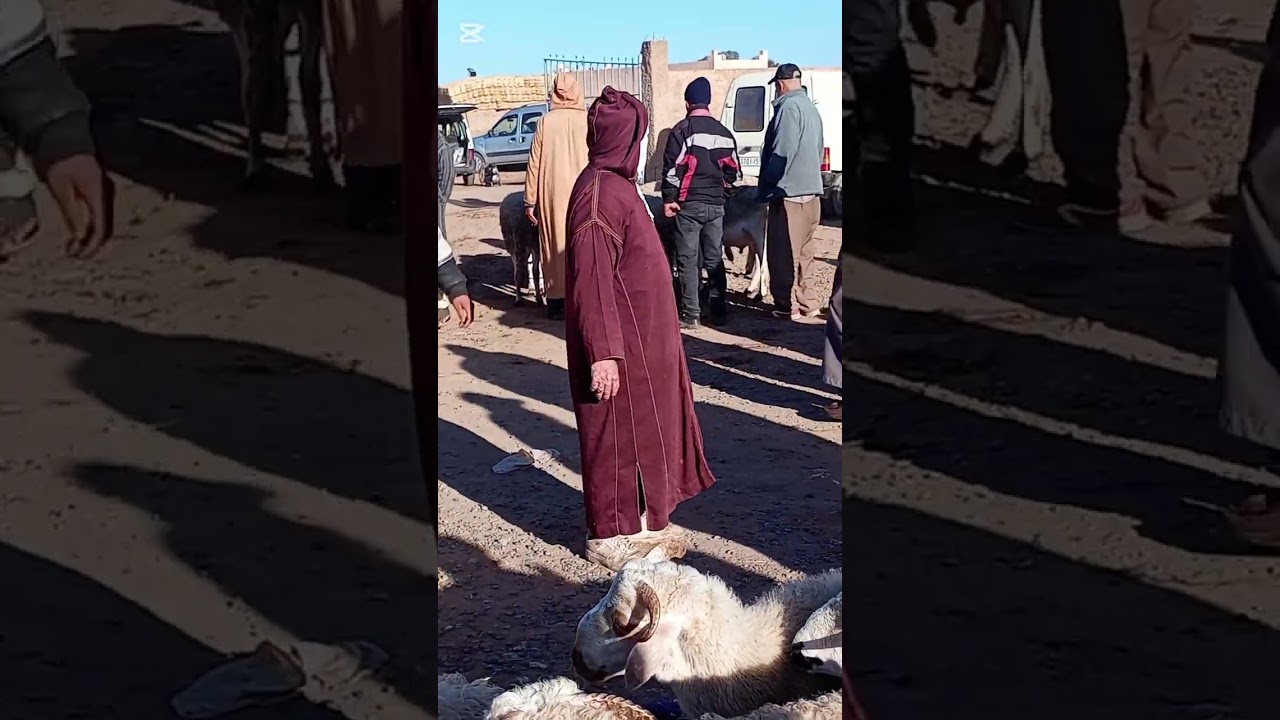 السوق الاسبوعي سبت الكردان بتاريخ 21/02/2026