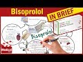 Classification of Beta blockers - YouTube