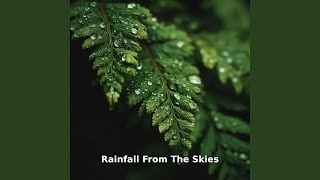 Rainfall from Dark Skies, Pt.12