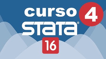 Bitácora en Stata (.log)