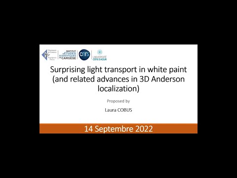 Image du reportage Surprising light transport in white paint (Università di Corsica Pasquale Paoli)