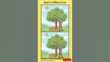 Spot 3 differences 381