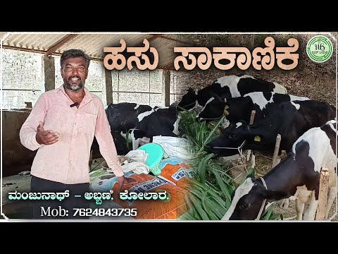 ಹಸು ಸಾಕಾಣಿಕೆ | ಕಷ್ಟ ಕಾಲದಲ್ಲಿ ಕೈಹಿಡಿದ ಹೈನುಗಾರಿಕೆ | ಮಂಜುನಾಥ್ ಅಬ್ಬಣಿ, ಕೋಲಾರ |Hasu Sakanike |Hainugarike