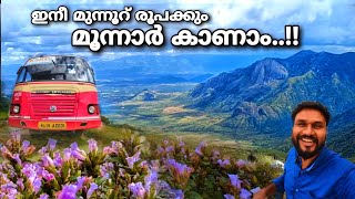 ഇനീ മുന്നൂറ് രൂപക്കും മൂന്നാർ കാണാം..!! | Munnar | ksrtc munnar trip | neelakurinji flower