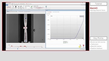 Software - Video Extensometry