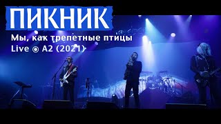 Пикник – Мы, Как Трепетные Птицы [Live ⦿ A2 2021]