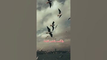 سورة القيامه /لا أقسم بيوم القيامة / القارئ الشيخ عبد الباسط عبد الصمد رحمه الله / #قرآن