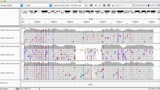 Celebrity SVs in IGV Profile