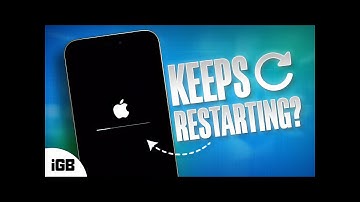 iPhone Keeps Restarting? Here Are 4 Easy Fixes!