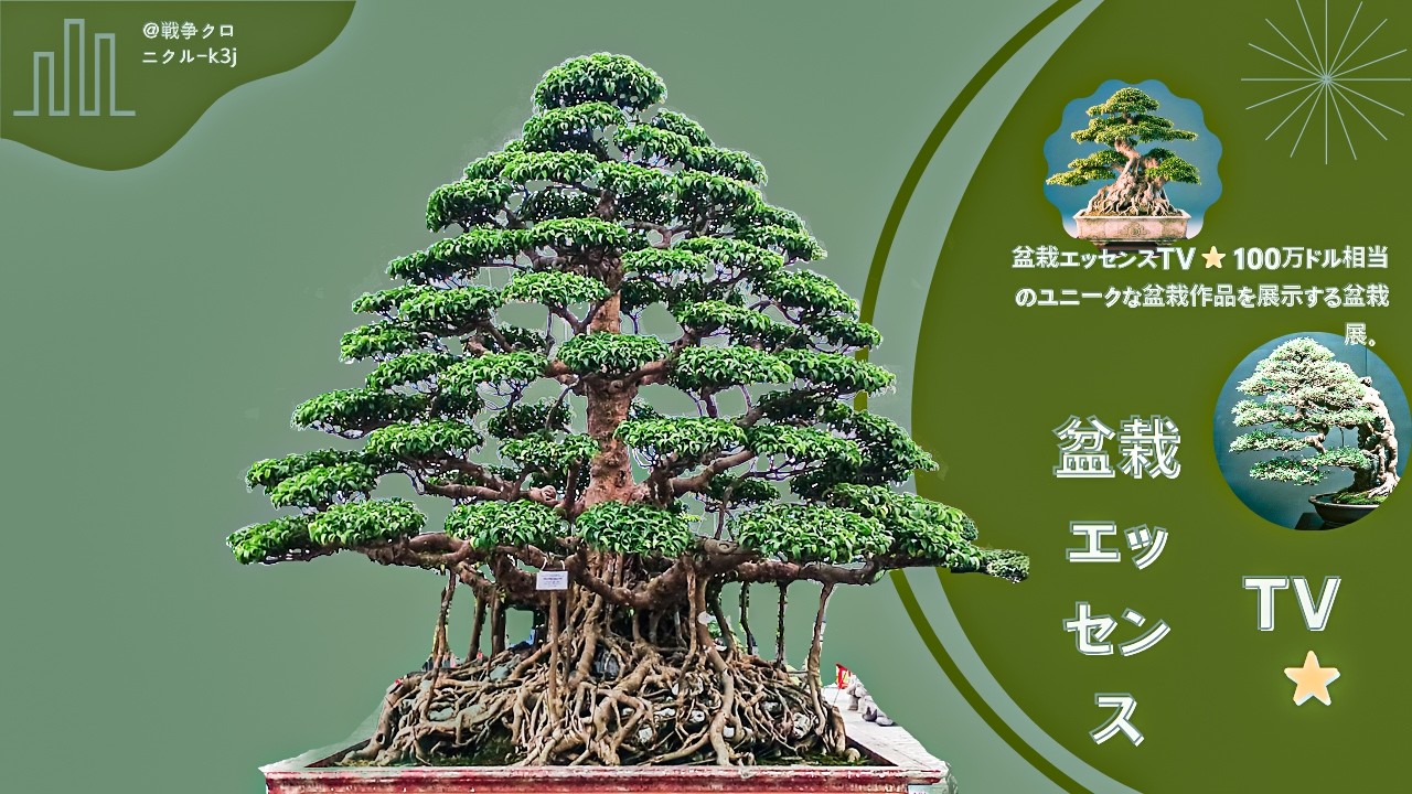 盆栽の収穫は 1 回目です - YouTube