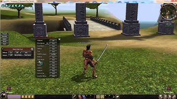 Metin2 PvP Multipaket Exp Bot Hilesi Damage Hack ve Mobber Hack