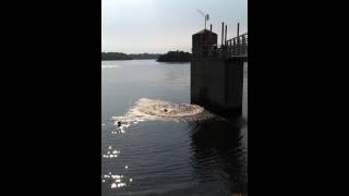 Homme Dam Tower Jump 2