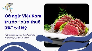 VASEP Highlight - T10/2025: Cá Ngừ