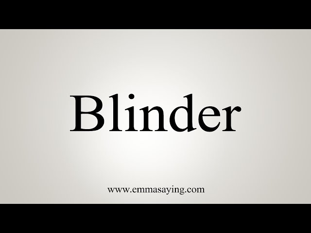Blinder - definition of blinder by The Free Dictionary