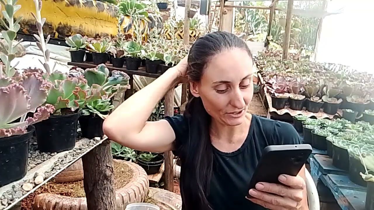 Beijos pra meu povo 😍 + podas das Gibifloras estufa 1