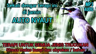 Download Lagu TERAPI TRUCUKAN PALING AMPUH, DENGAN SEKEJAP MEMULIHKAN MACET BUNYI, AUTO NYAUT \u0026 GACOR SEKETIKA. MP3 Download Lagu TERAPI TRUCUKAN PALING AMPUH, DENGAN SEKEJAP MEMULIHKAN MACET BUNYI, AUTO NYAUT \u0026 GACOR SEKETIKA. MP3