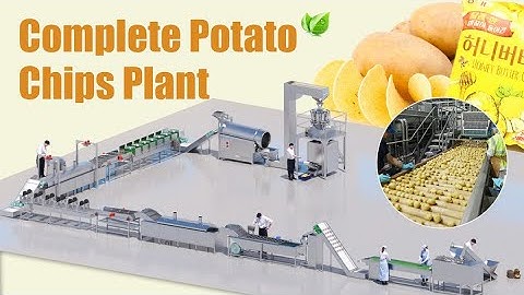Automatic Potato Chips Processing Plant | Affordable Potato Chips Processing Business